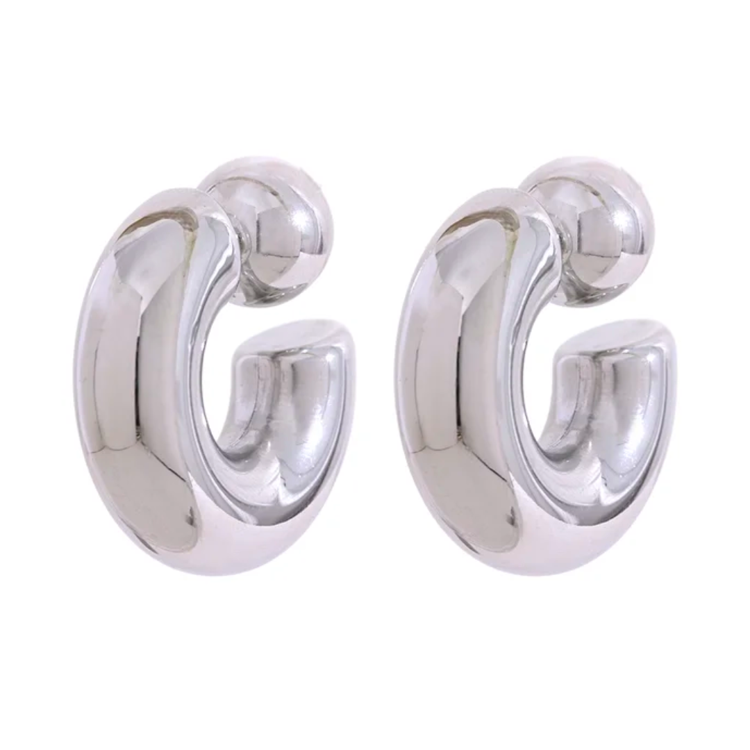 Stainless Steel Chunky Earrings