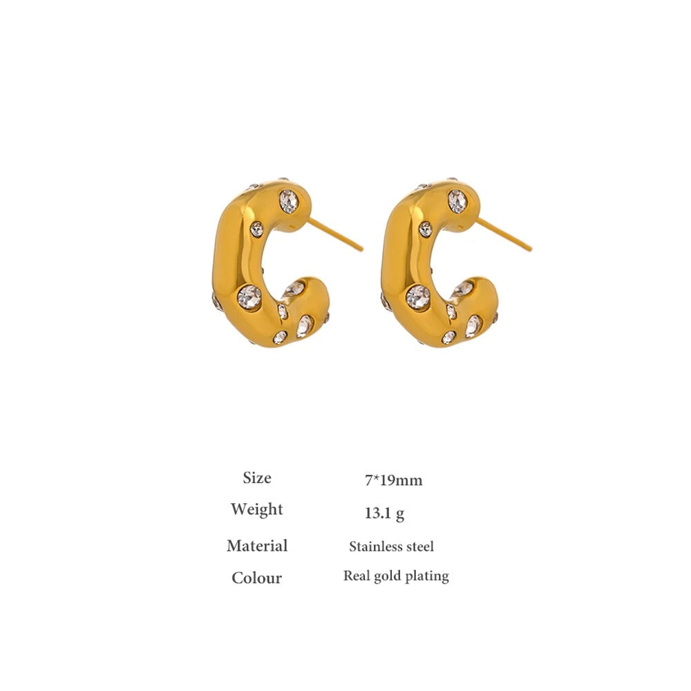 Chunky Earrings