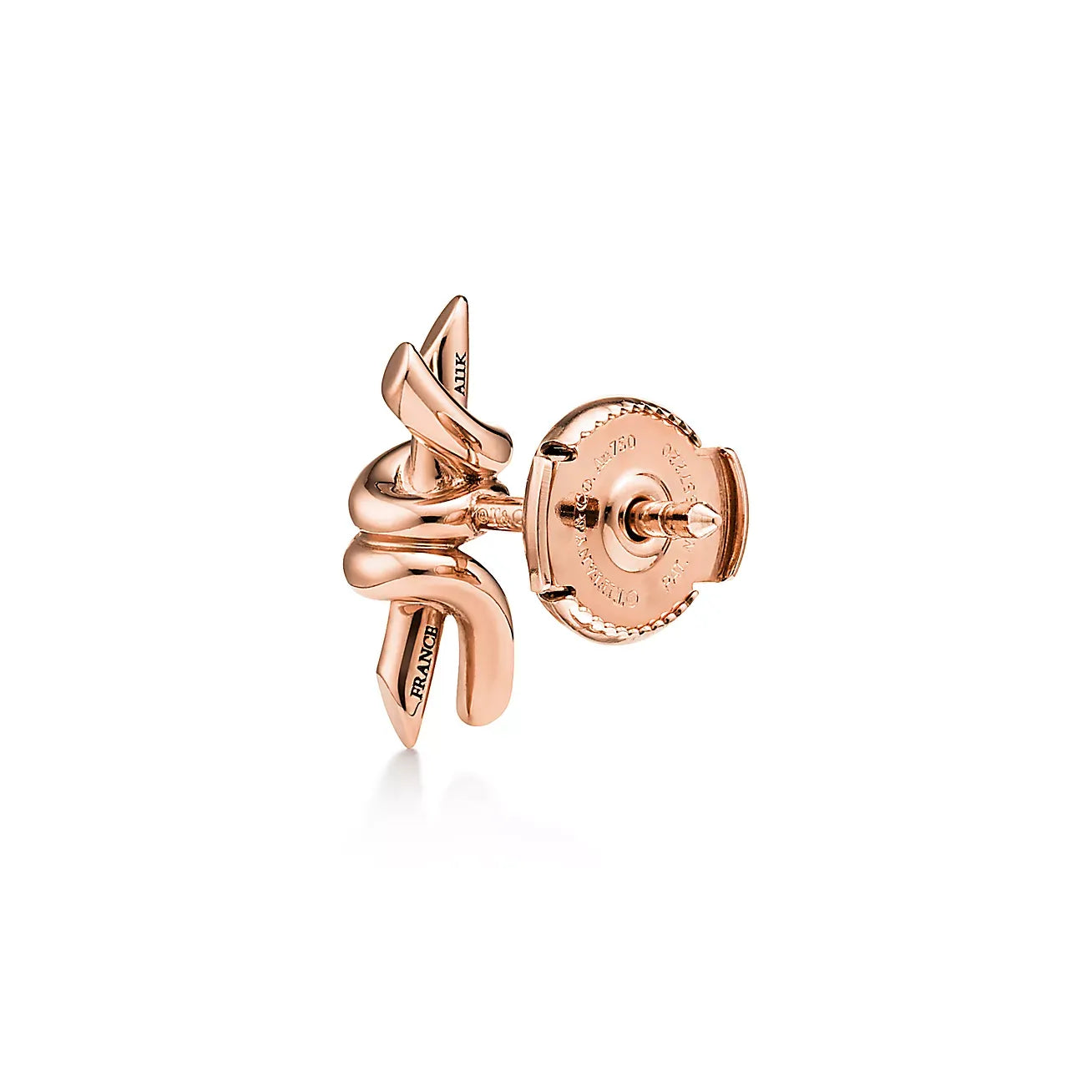 Knot Small Earrings in Rose Gold
