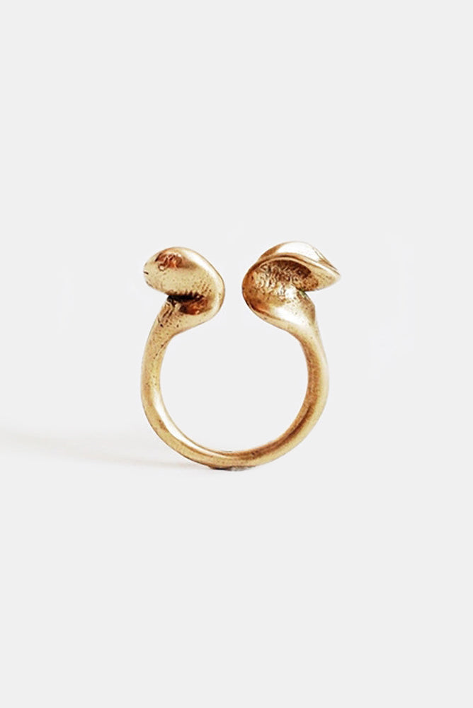Troy Ring